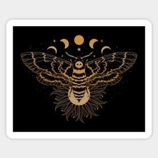 Death Moth - Acherontia Atropos Sticker